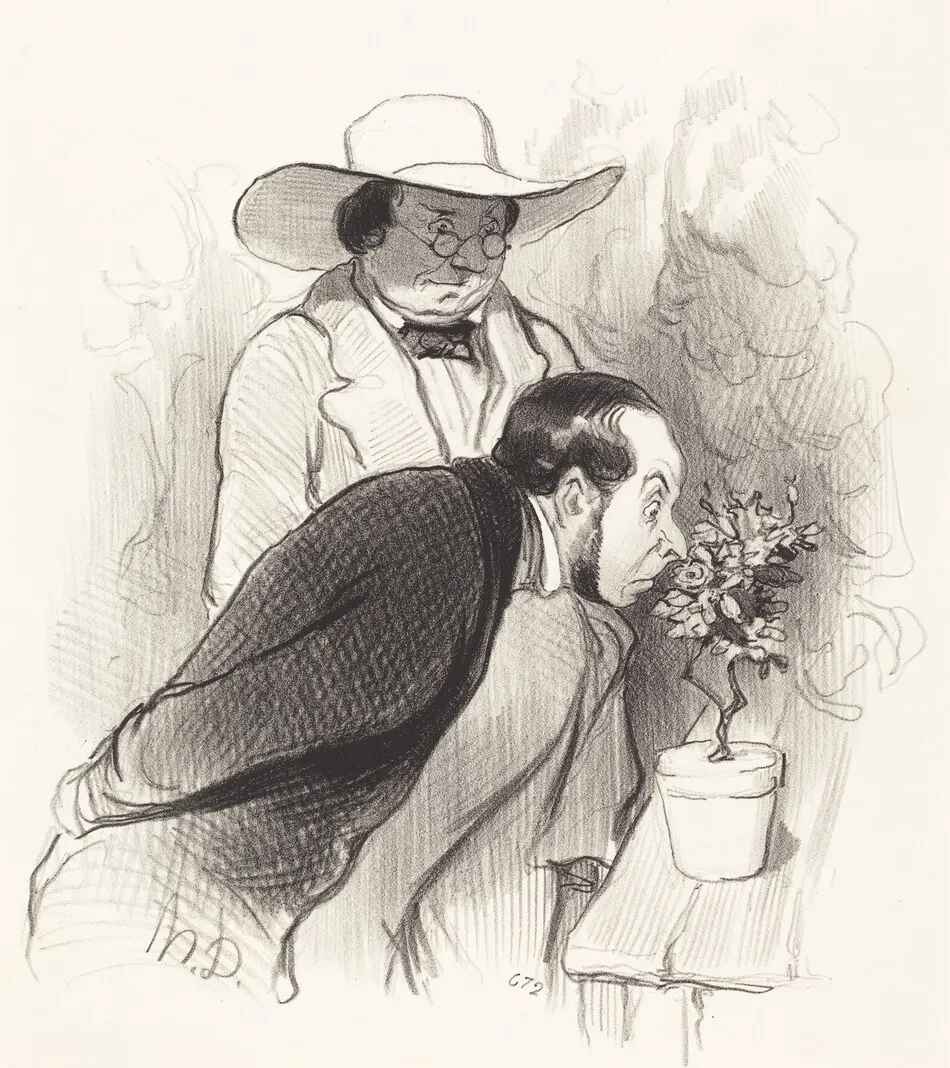 Un Triomphe de botaniste by Daumier, Honoré