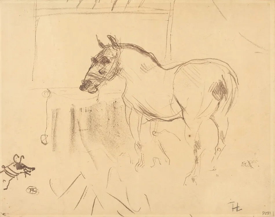 The Small Pony from Calmese (Le petit poney de Calmèse) by Henri de Toulouse-Lautrec