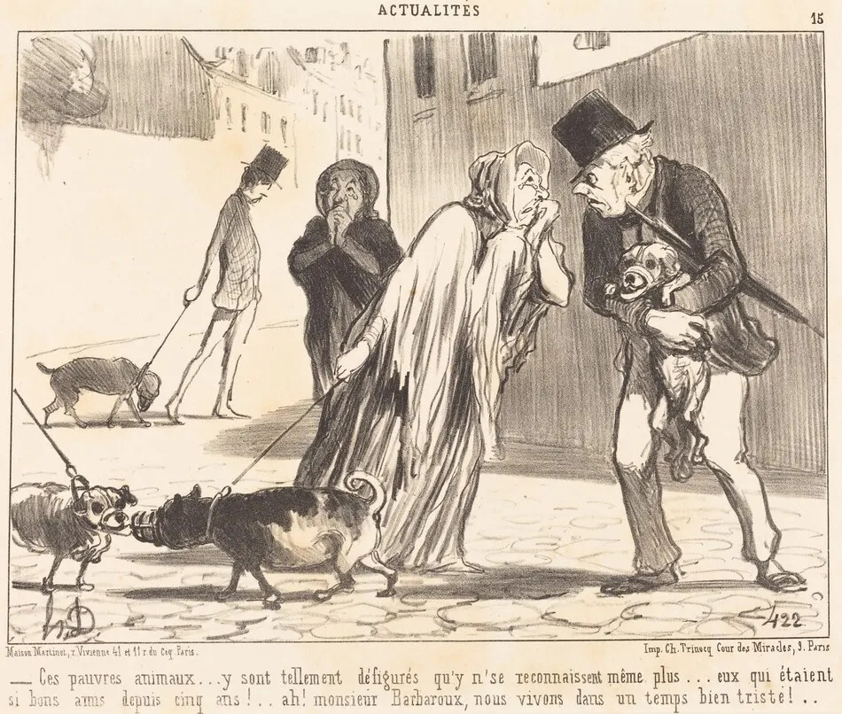 Ces pauvres animaux... n'se reconnaissent... plus... by Honoré Daumier