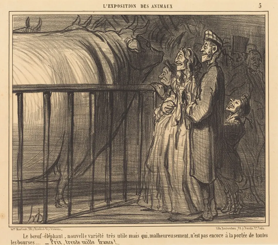 Le Boeuf-éléphant nouvelle variété by Honoré Daumier