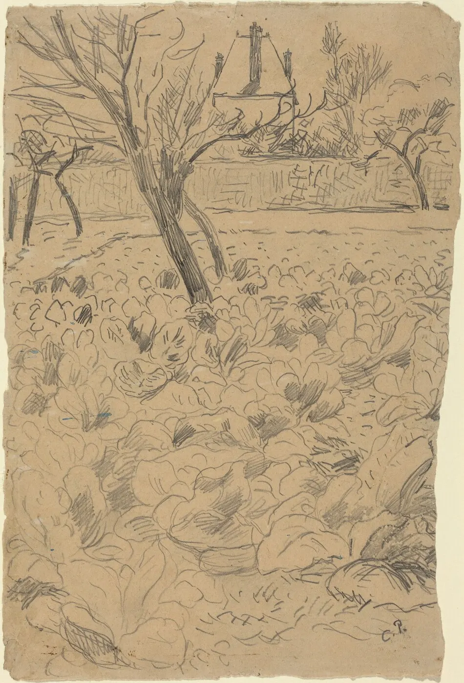 a) The Cabbage Field (Le Champ de choux); b) The Cabbage Field (Le Champ de choux) by Camille Pissarro
