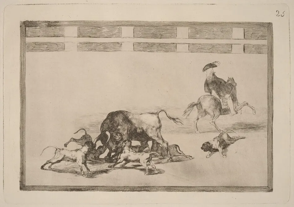 Echan perros al toro (They Loose Dogs on the Bull) by Francisco Goya