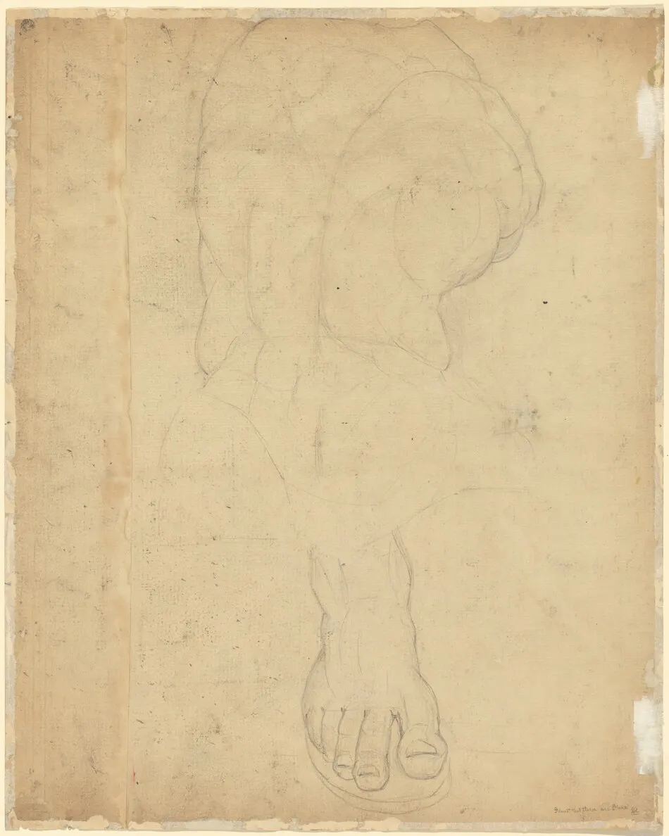 The Belvedere Torso [verso] by William Blake