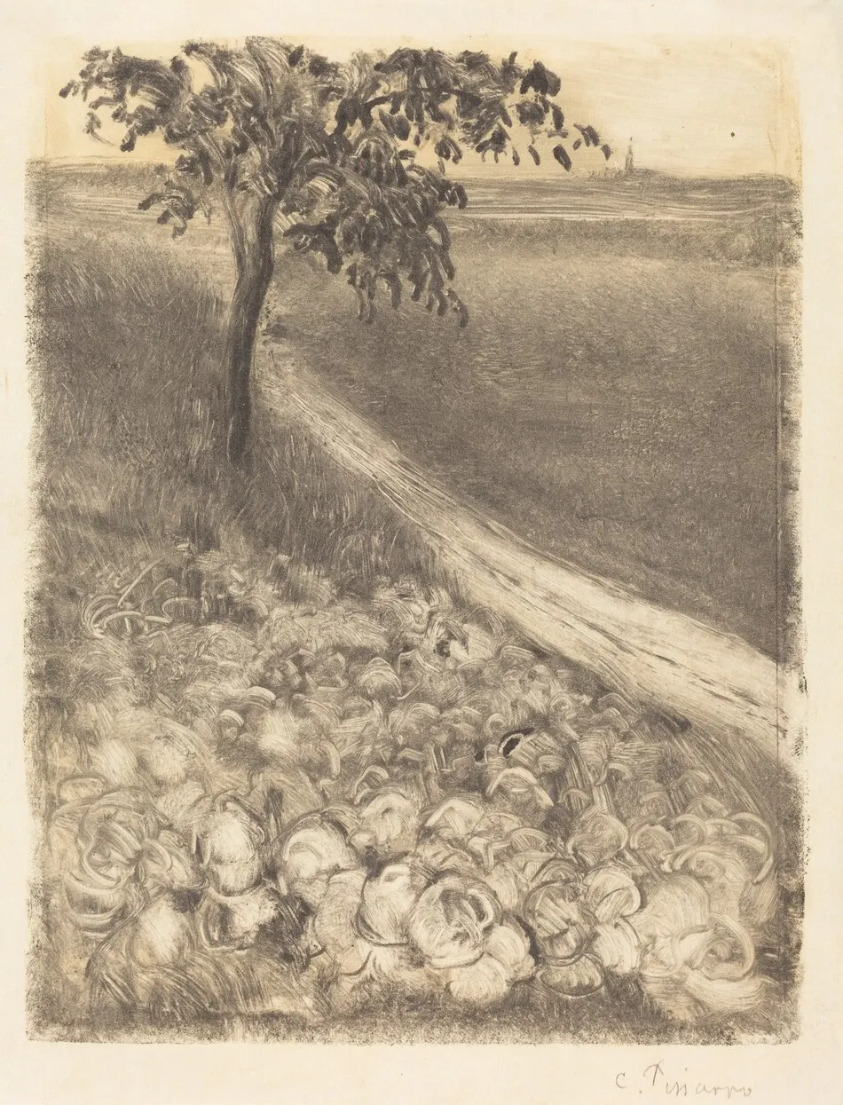 Road by a Field of Cabbages by Camille Pissarro