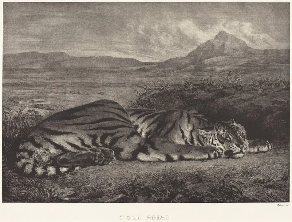 Royal Tiger (Tigre Royal) by Eugène Delacroix