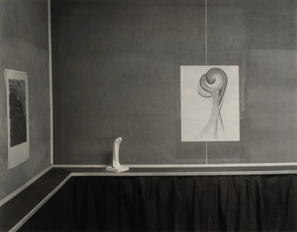 Georgia O'Keeffe—Exhibition at 291 by Alfred Stieglitz