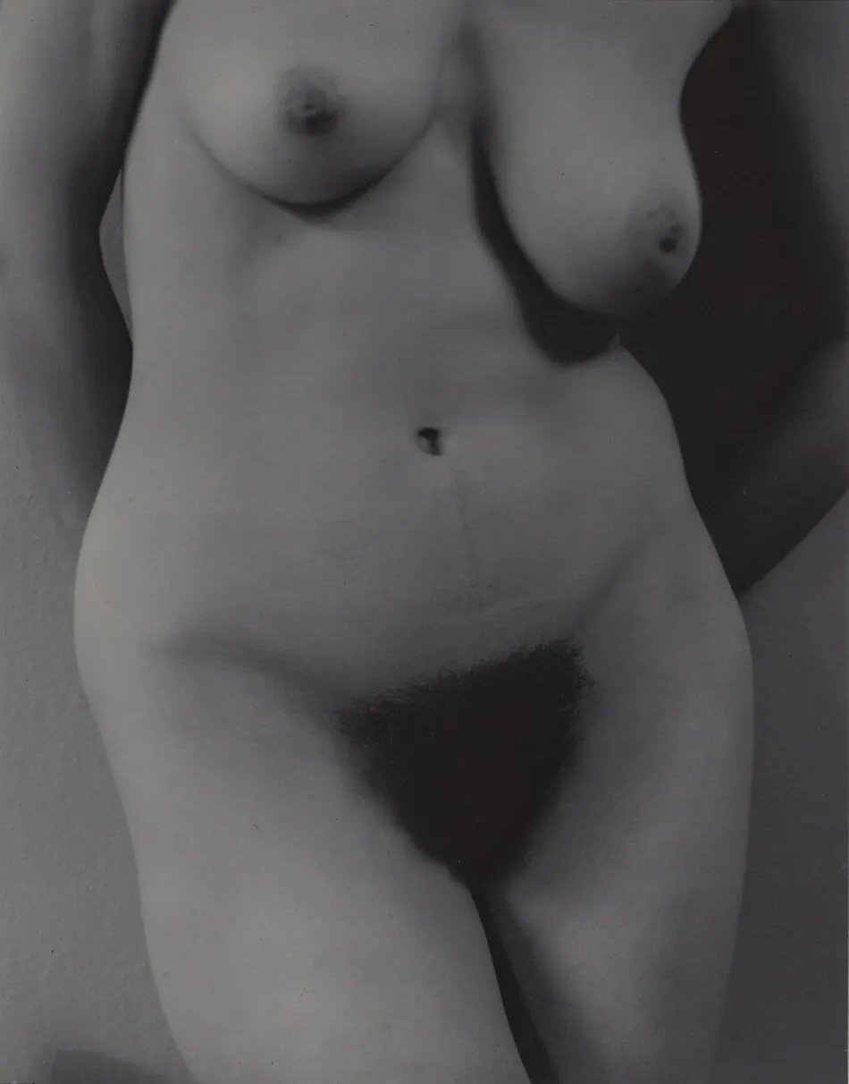 Georgia O'Keeffe—Torso by Alfred Stieglitz