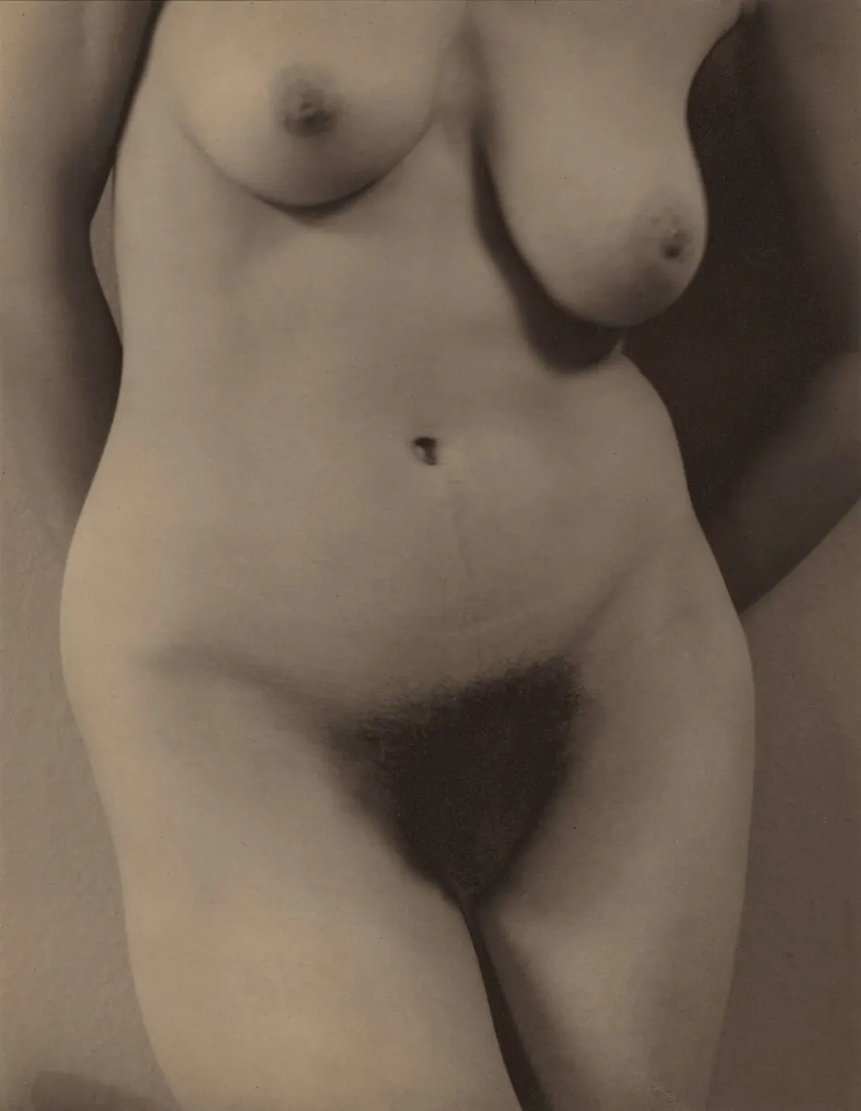 Georgia O'Keeffe—Torso by Alfred Stieglitz