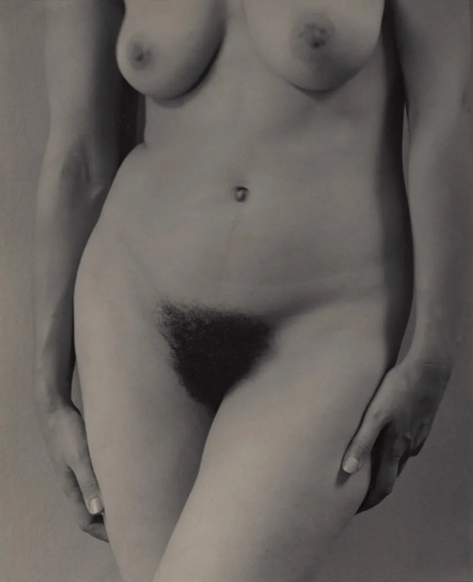 Georgia O'Keeffe—Torso by Alfred Stieglitz