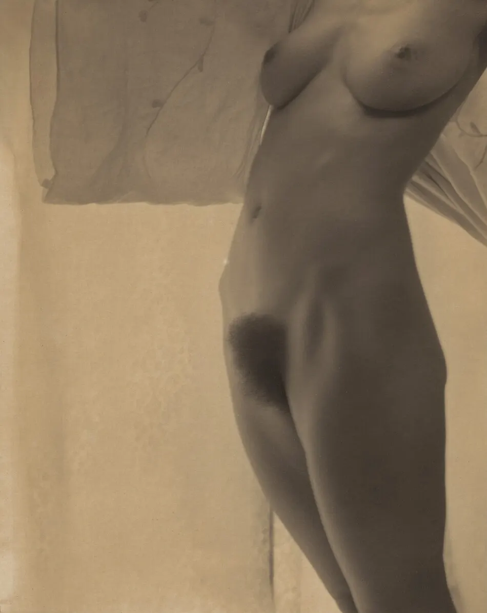 Georgia O'Keeffe—Torso by Alfred Stieglitz