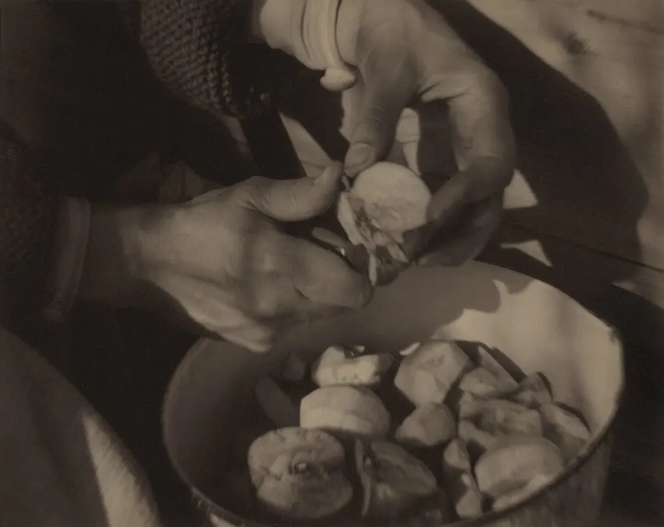 Georgia O'Keeffe—Hands by Alfred Stieglitz