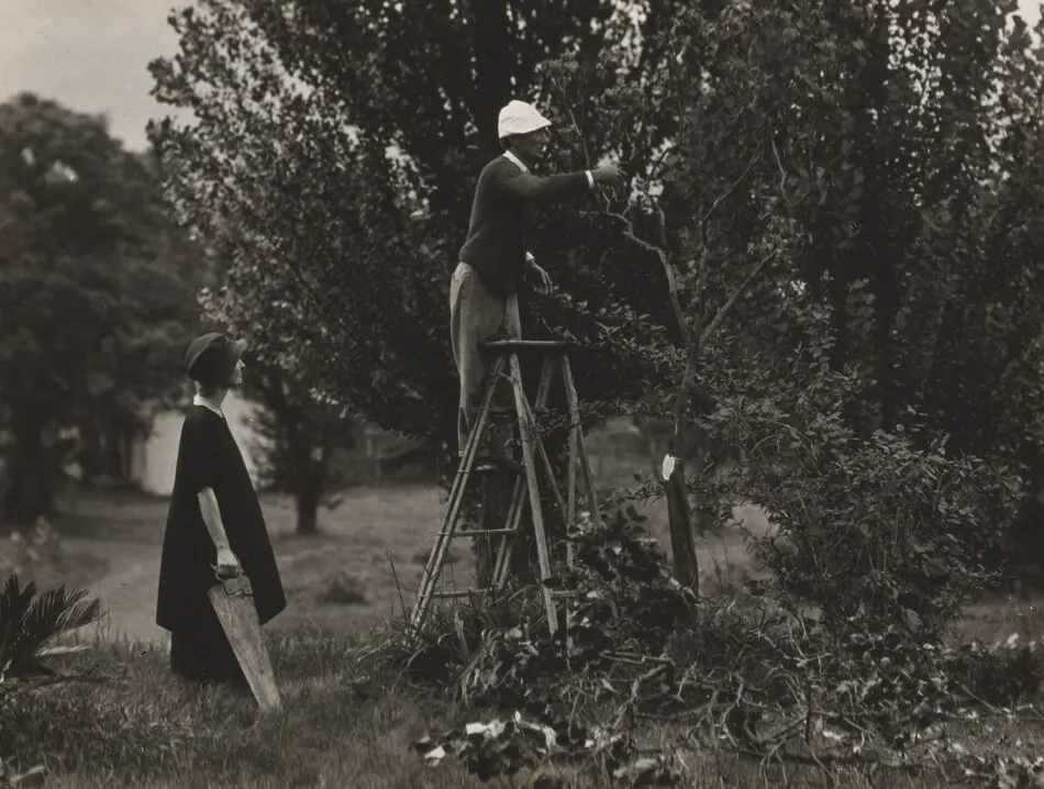 Georgia O'Keeffe and Donald Davidson Pruning Trees by Alfred Stieglitz