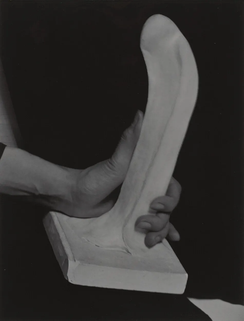 Georgia O'Keeffe—Hand by Alfred Stieglitz
