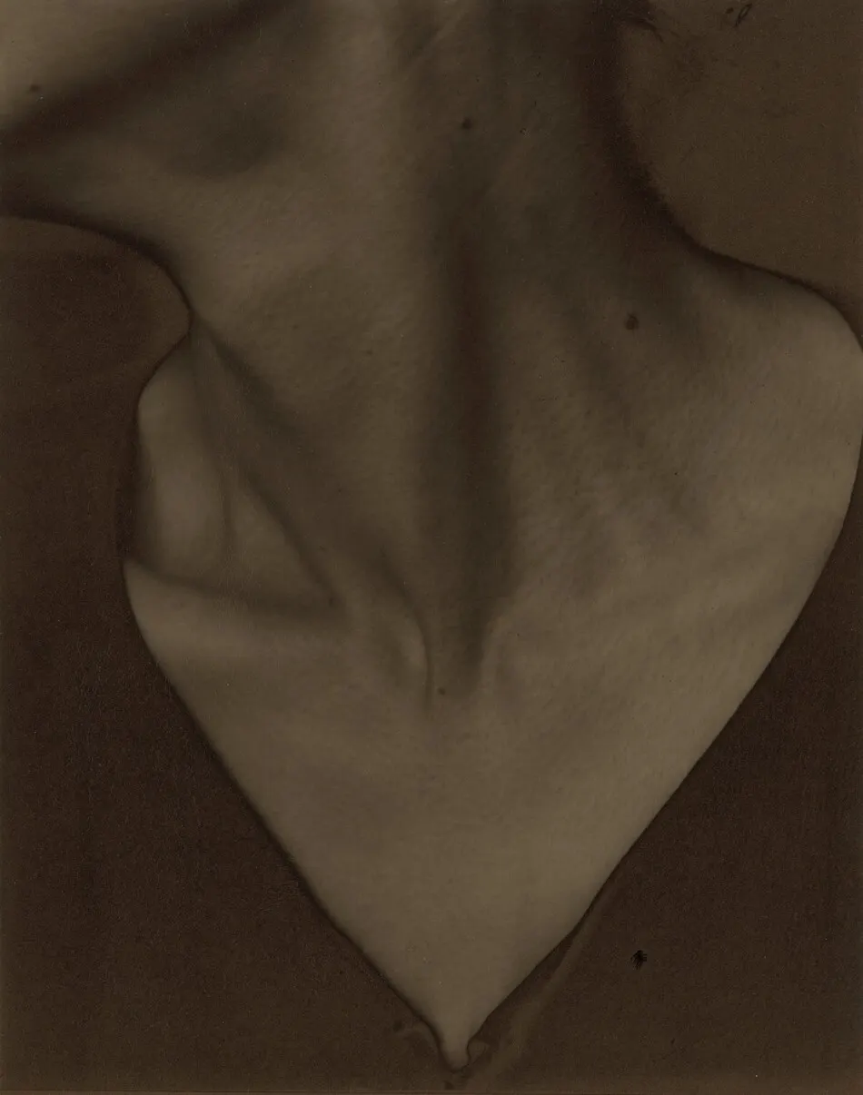 Georgia O'Keeffe—Neck by Alfred Stieglitz
