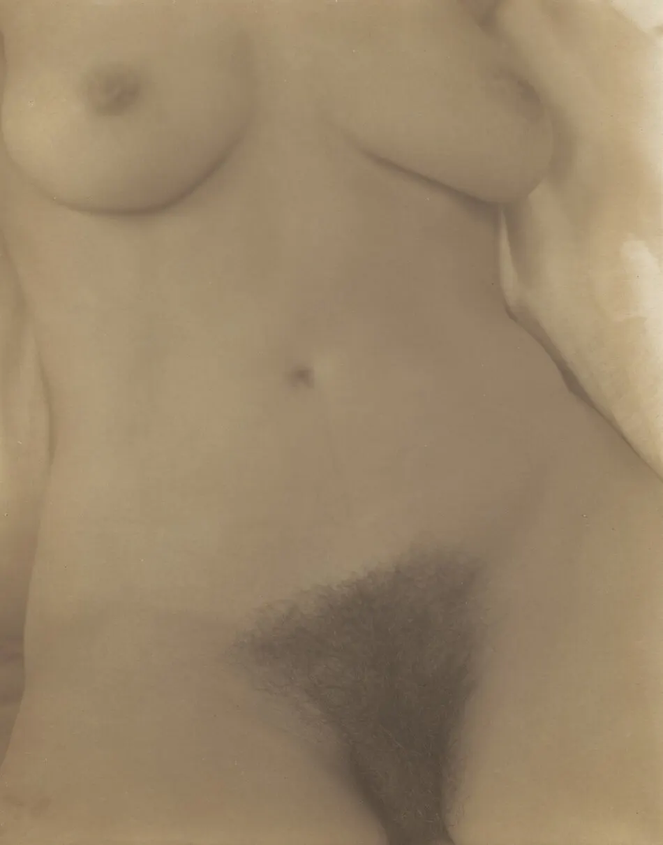 Georgia O'Keeffe—Torso by Alfred Stieglitz