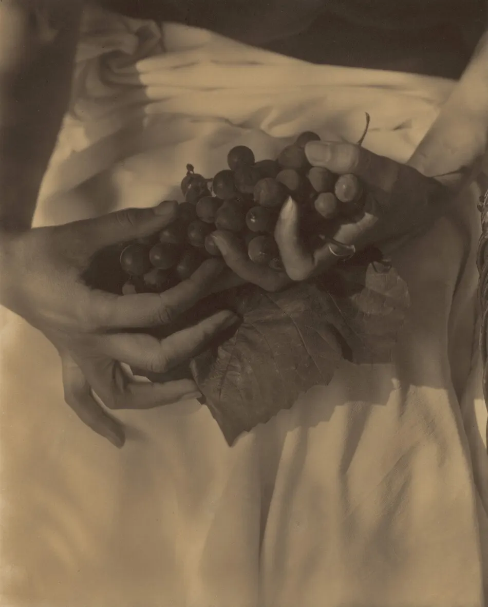 Georgia O'Keeffe—Hands and Grapes by Alfred Stieglitz