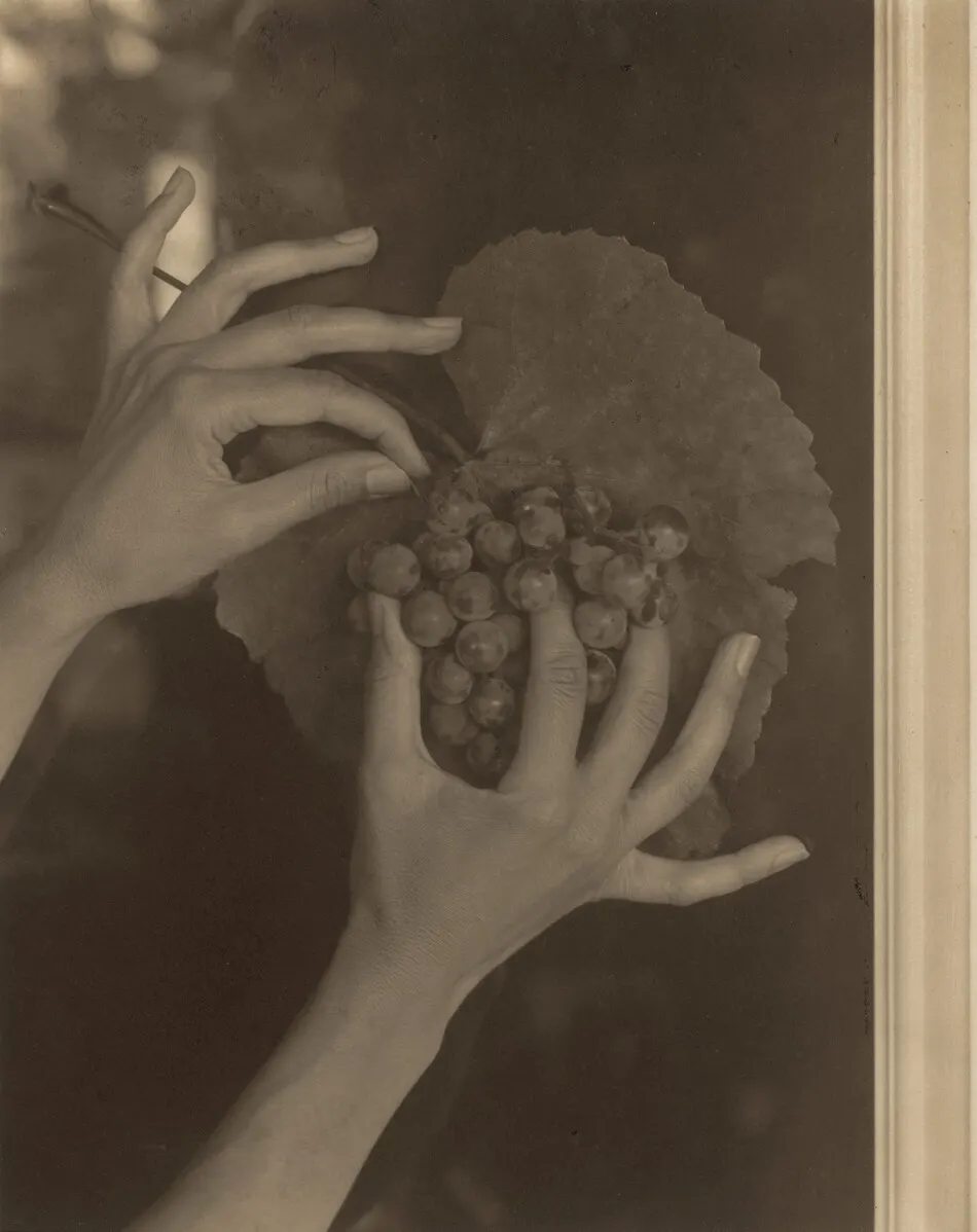 Georgia O'Keeffe—Hands and Grapes by Alfred Stieglitz