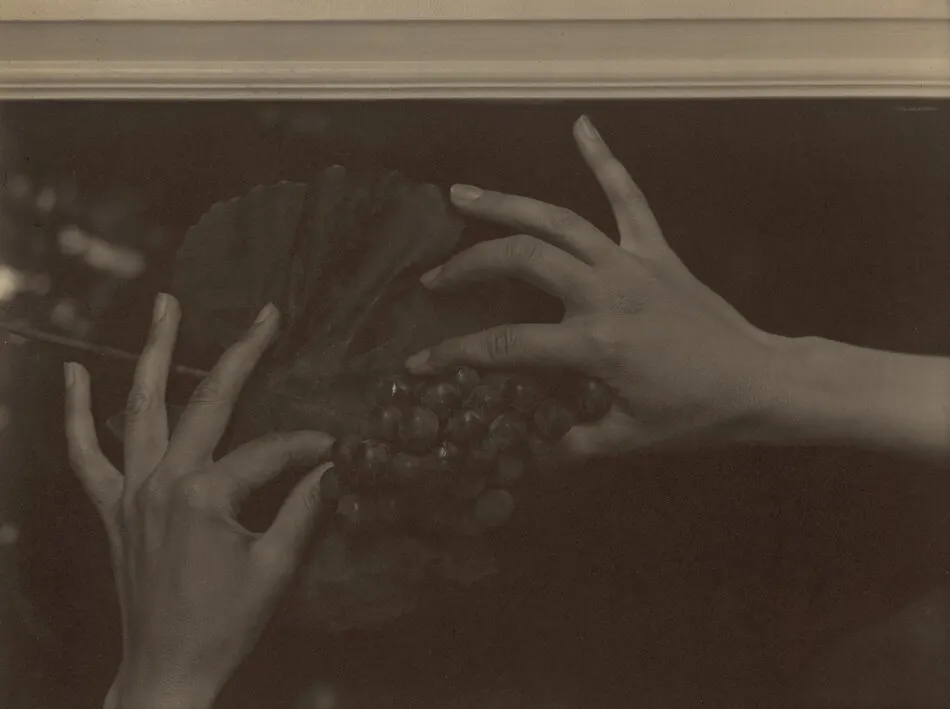 Georgia O'Keeffe—Hands and Grapes by Alfred Stieglitz