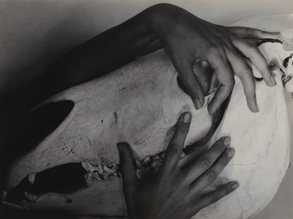 Georgia O'Keeffe—Hands and Horse Skull by Alfred Stieglitz