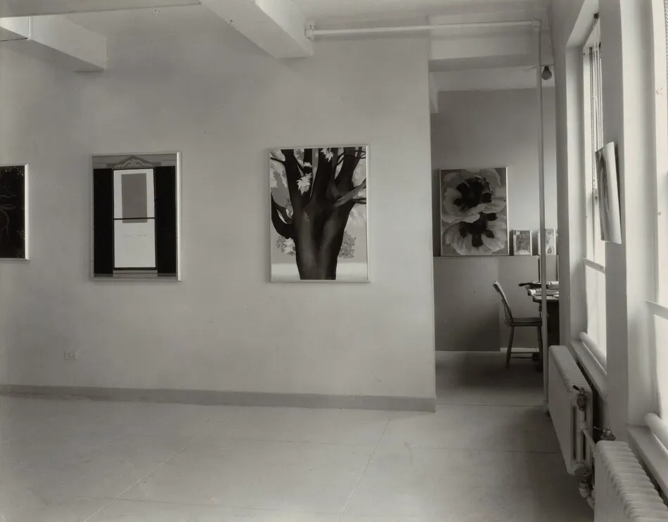 Georgia O'Keeffe—Exhibition at An American Place by Alfred Stieglitz