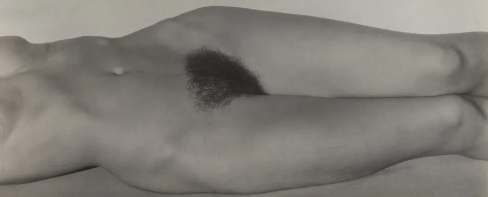 Georgia O'Keeffe—Torso by Alfred Stieglitz