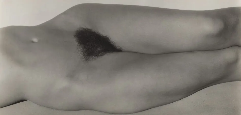 Georgia O'Keeffe—Torso by Alfred Stieglitz