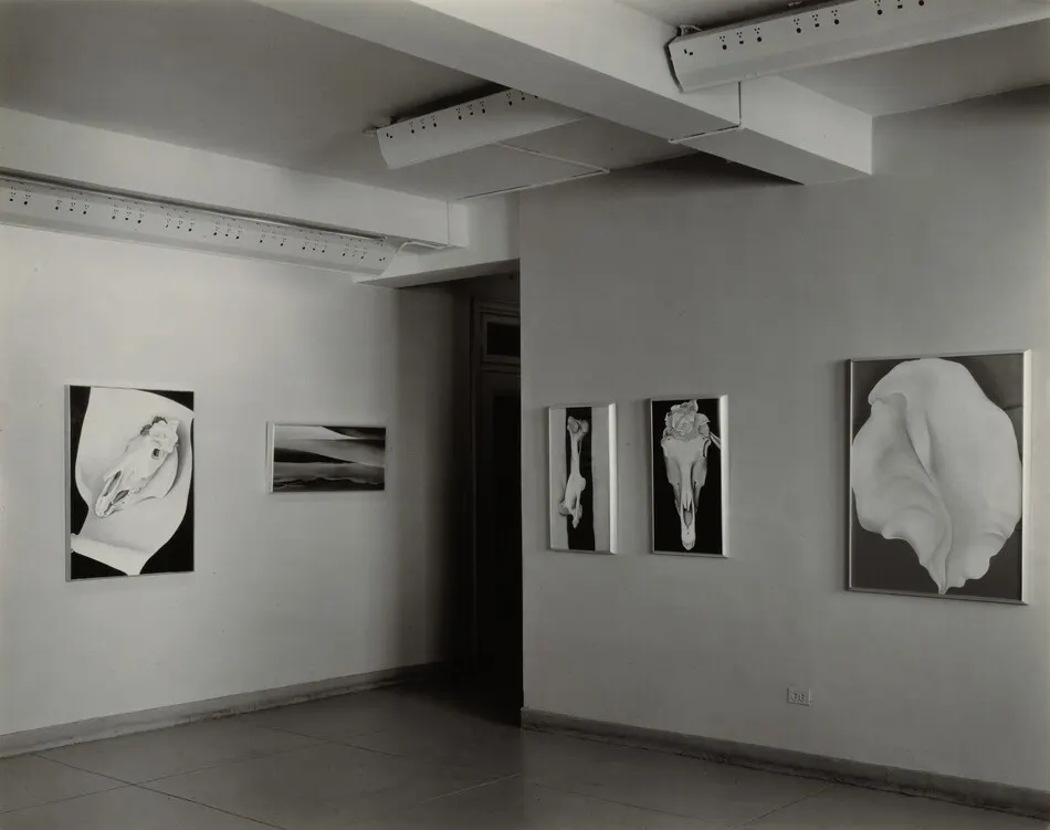 Georgia O'Keeffe—Exhibition at An American Place by Alfred Stieglitz