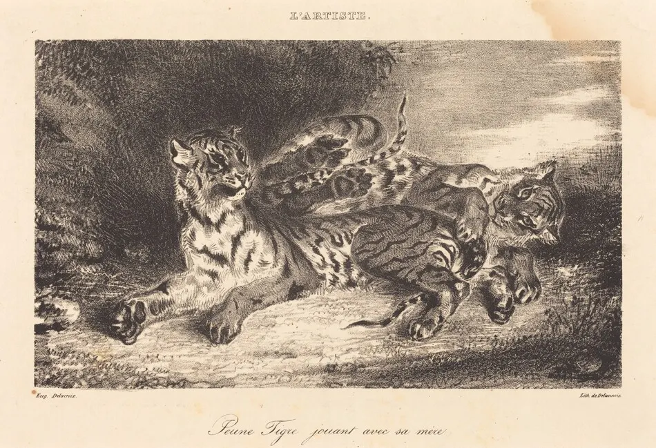 Young Tiger Playing with its Mother (Jeune tigre jouant avec sa mère) by Eugène Delacroix