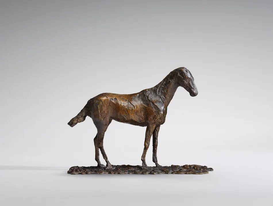 Study of a Mustang by Edgar Degas