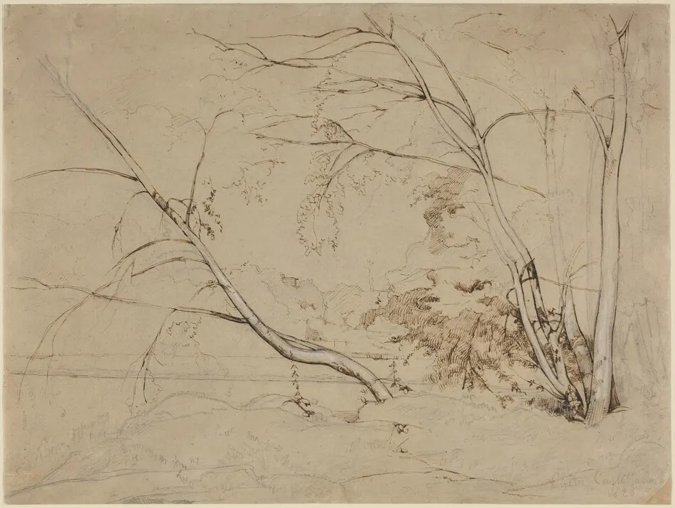 Clump of Trees at Civita Castellana by Jean-Baptiste-Camille Corot