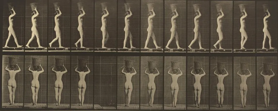 Plate Number 34. Walking and carrying a 15-lb. basket on head, hands raised by Eadweard Muybridge