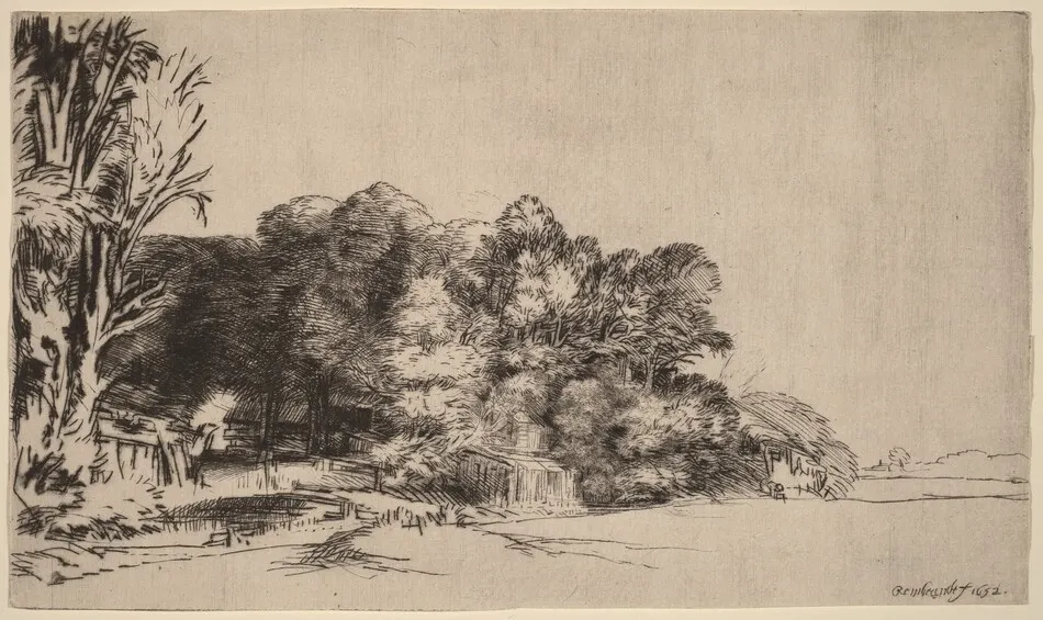 Clump of Trees with a Vista by Rembrandt van Rijn