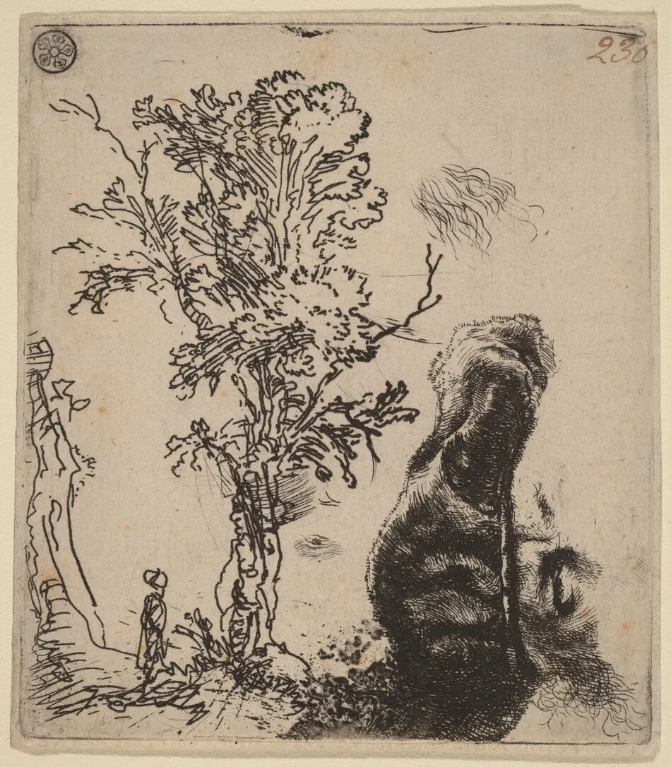 Sheet with Two Studies:  a Tree, and the Upper Part of a Head of the Artist Wearing a Velvet Cap by Rembrandt van Rijn